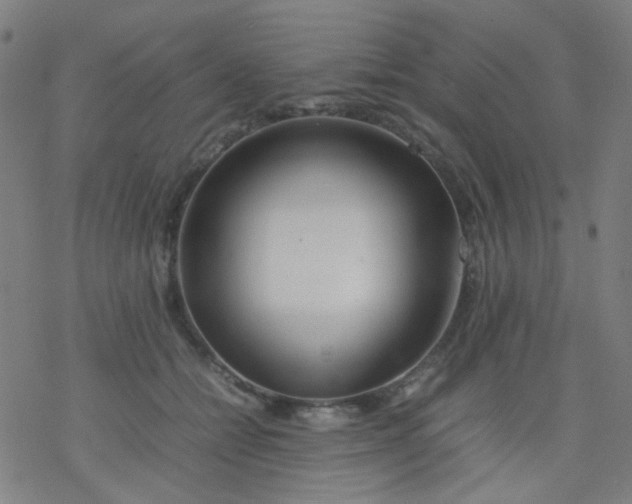 X0000077330558200611101526