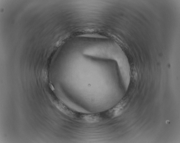 X0000077330568200611101527