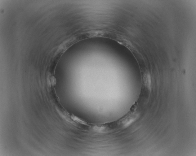 X0000077330570200611101527