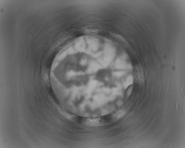X0000077330573200611101527