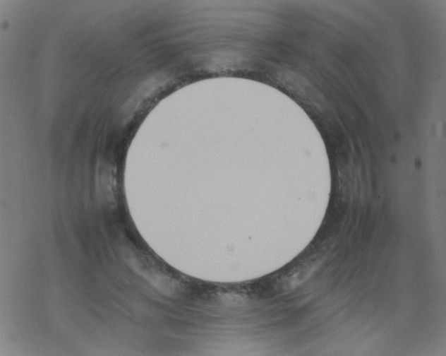 X0000077330592200611101526