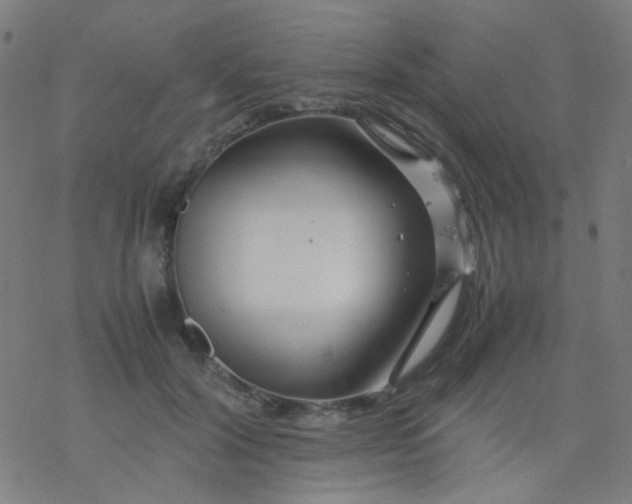 X0000077330604200611101525
