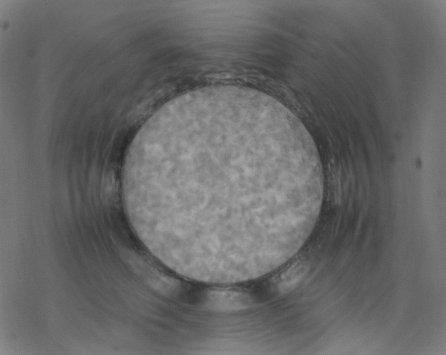 X0000077330614200611101525