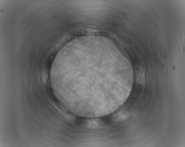 X0000077330618200611101525