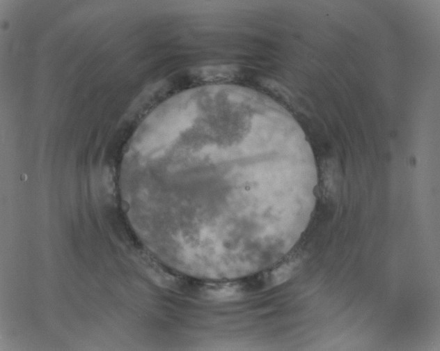 X0000077330667200611101525