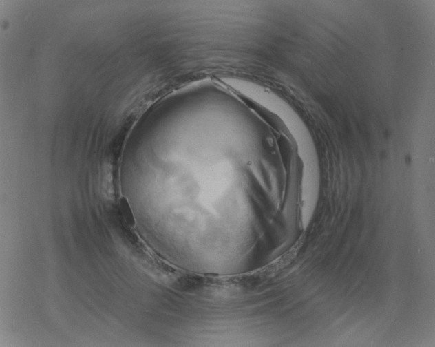 X0000077330696200611101524