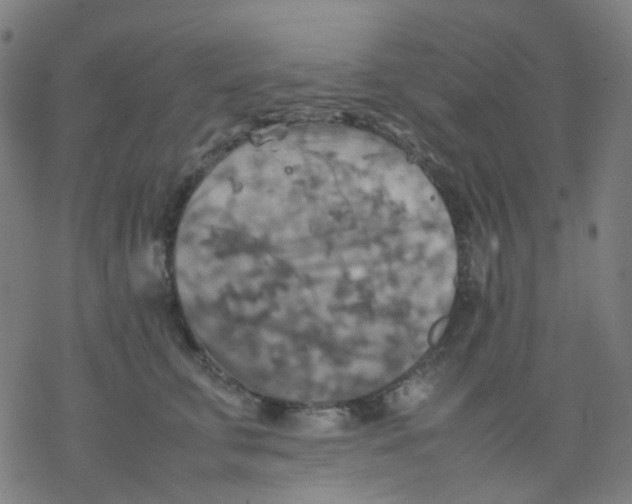 X0000077330711200611101524