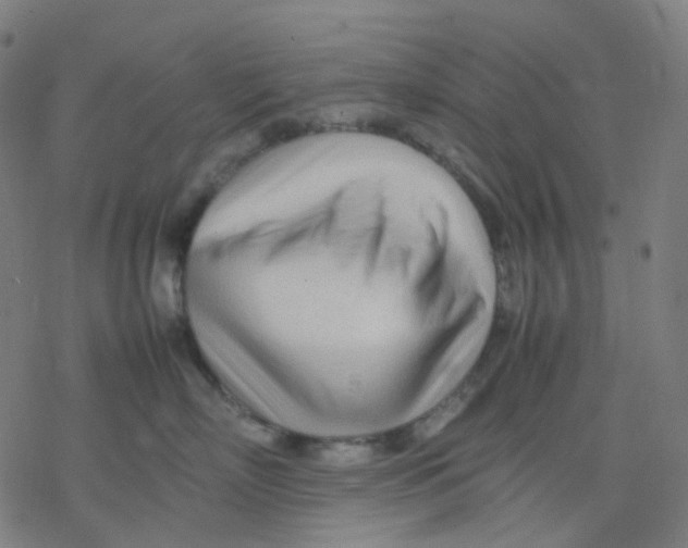 X0000077330718200611101524