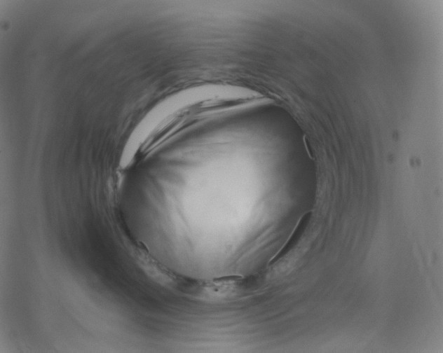 X0000077330720200611101524