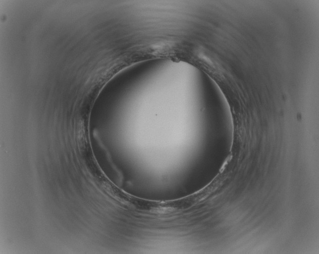 X0000077330748200611101523