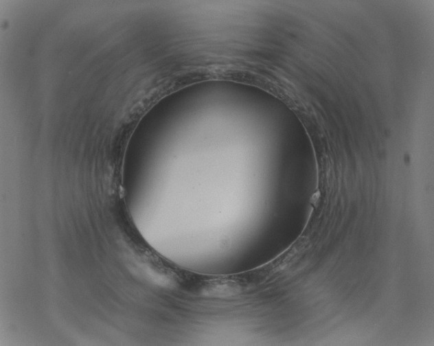 X0000077330750200611101523