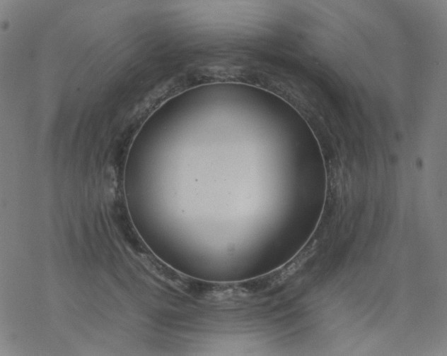 X0000077330752200611101523