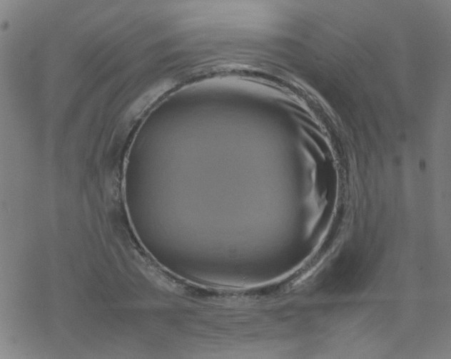 X0000077330785200611101523