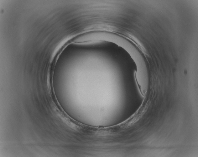 X0000077330788200611101522
