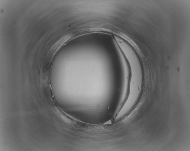 X0000077330801200611101522