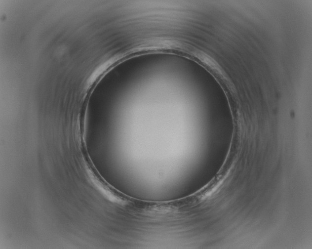 X0000077330842200611101522