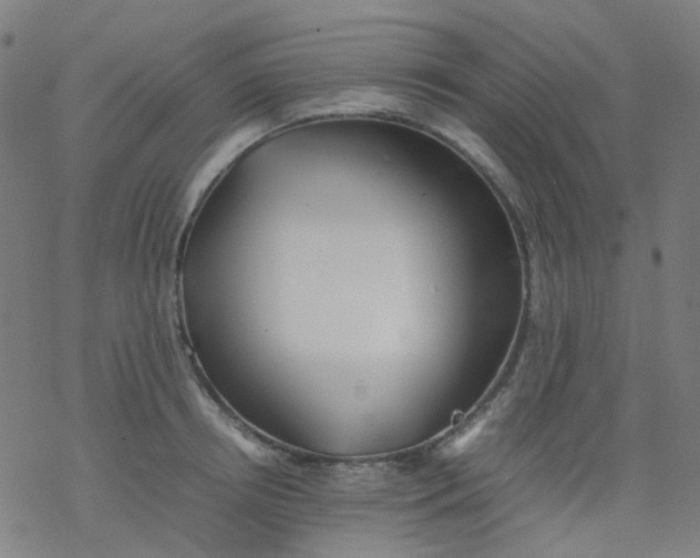 X0000077330850200611101522