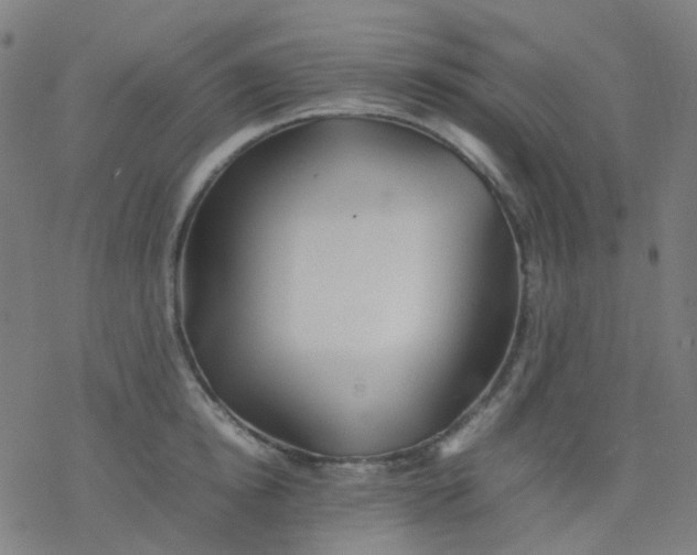X0000077330854200611101522