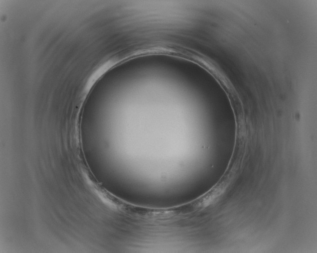X0000077330858200611101522