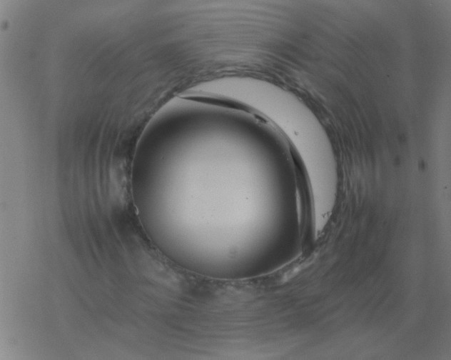 X0000077330868200611101521