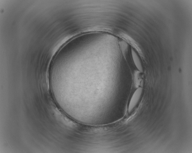 X0000077330892200611101521