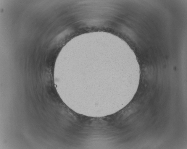X0000077330918200611101520