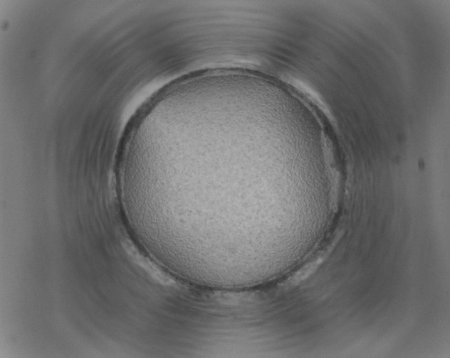 X0000077330928200611101520