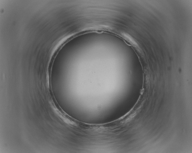 X0000077330940200611101520