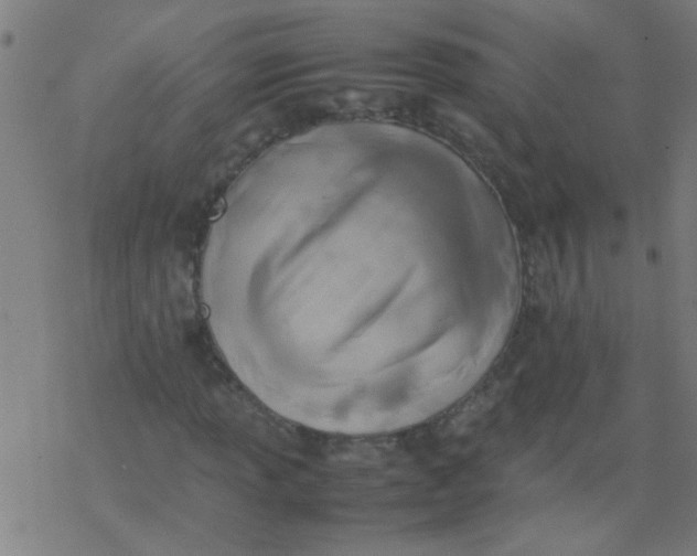 X0000077331013200611101518