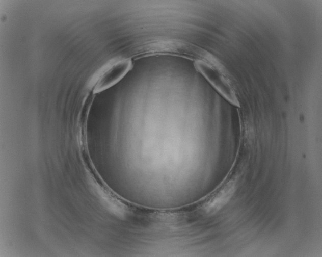 X0000077331034200611101518