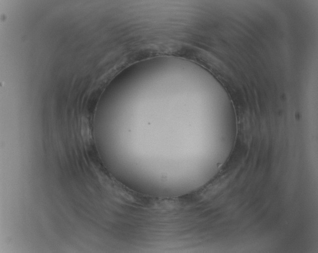 X0000077331058200611101518