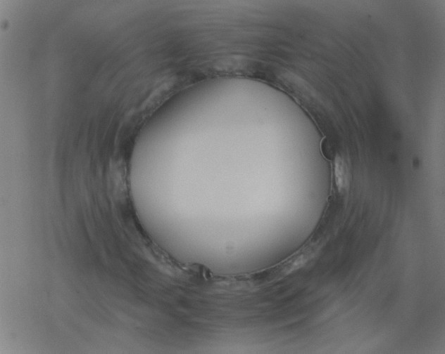 X0000077331107200611101517