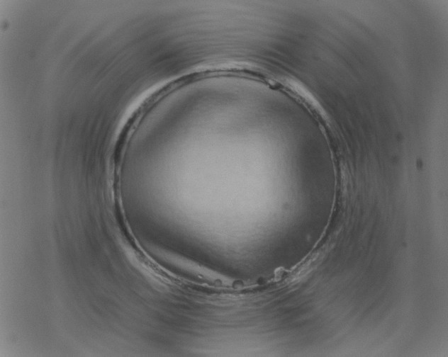 X0000077331124200611101517