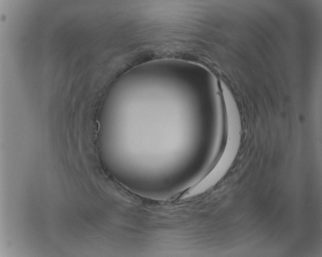 X0000077331153200611101517
