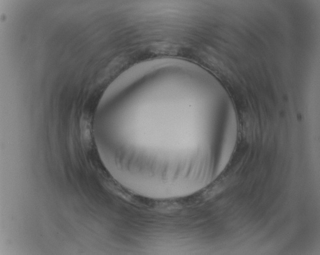 X0000077331154200611101516