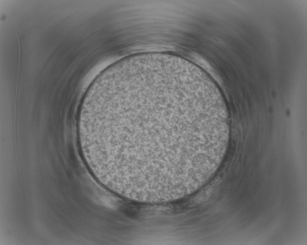 X0000077331187200611101516