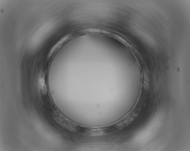 X0000077331198200611101516