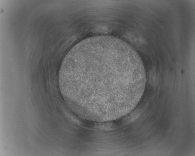 X0000077331201200611101515
