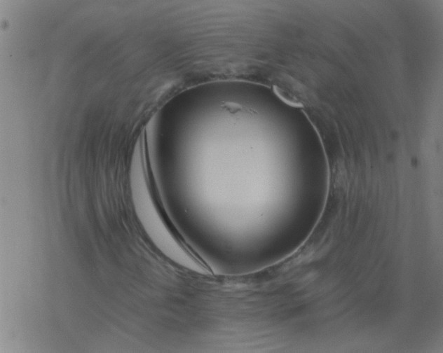 X0000077331202200611101515