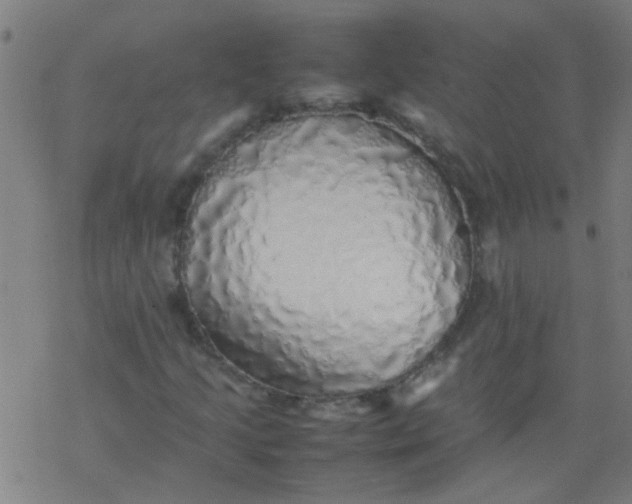 X0000077331205200611101515