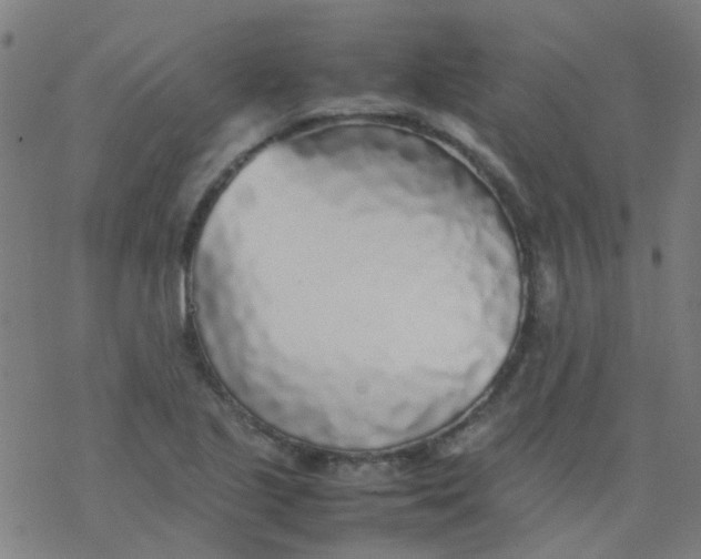 X0000077331221200611101515