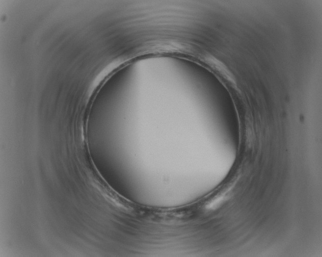 X0000077331226200611101515