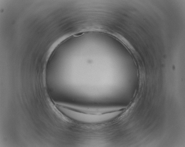 X0000077331246200611101516