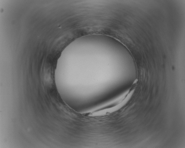 X0000077331250200611101515