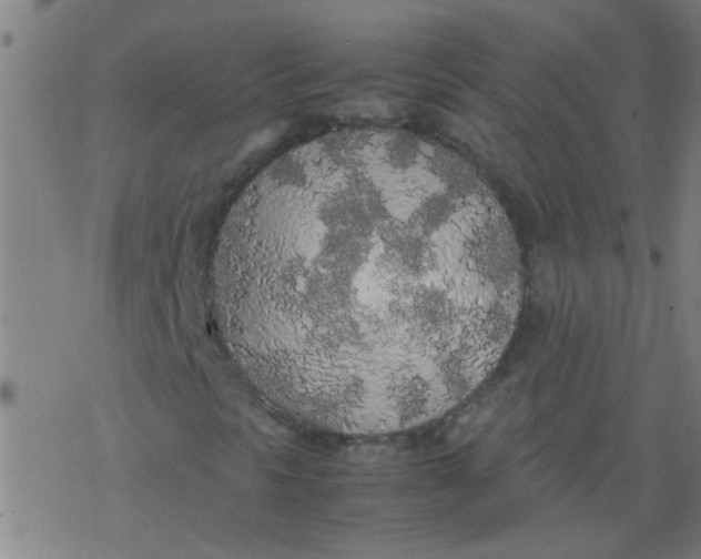 X0000077331297200611101513