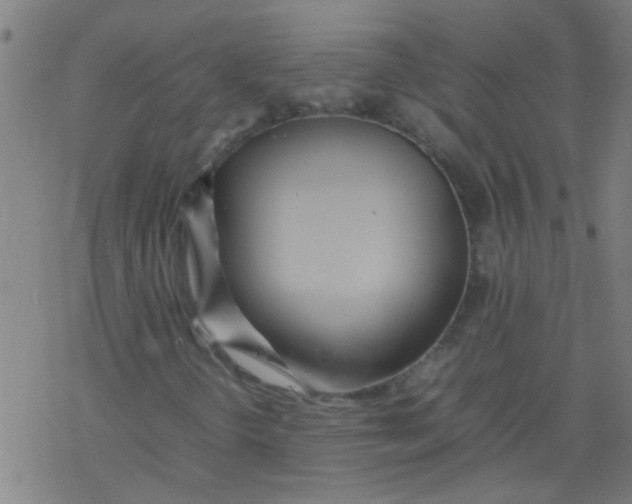 X0000077331298200611101513