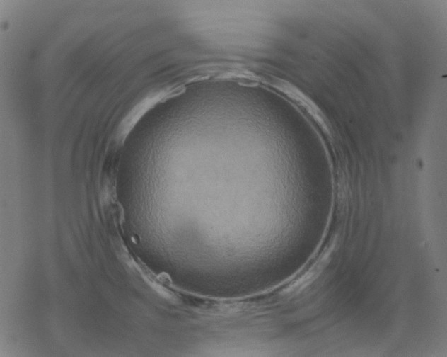 X0000077331385200611101513