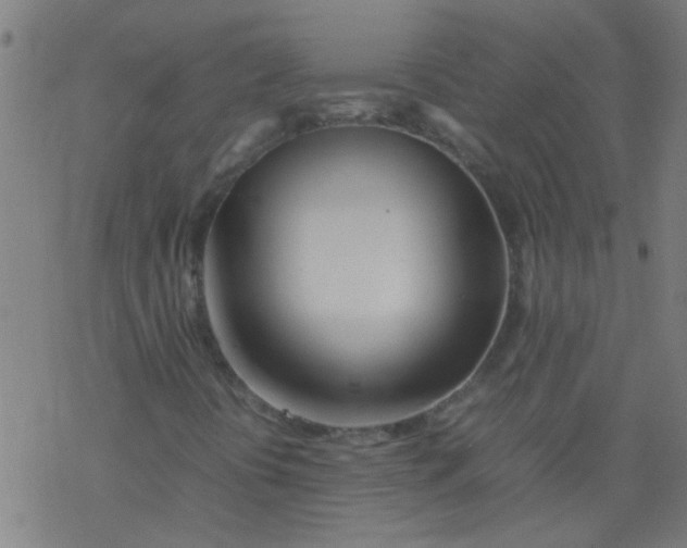 X0000077331394200611101512