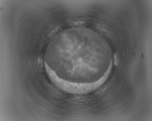 X0000077331395200611101512