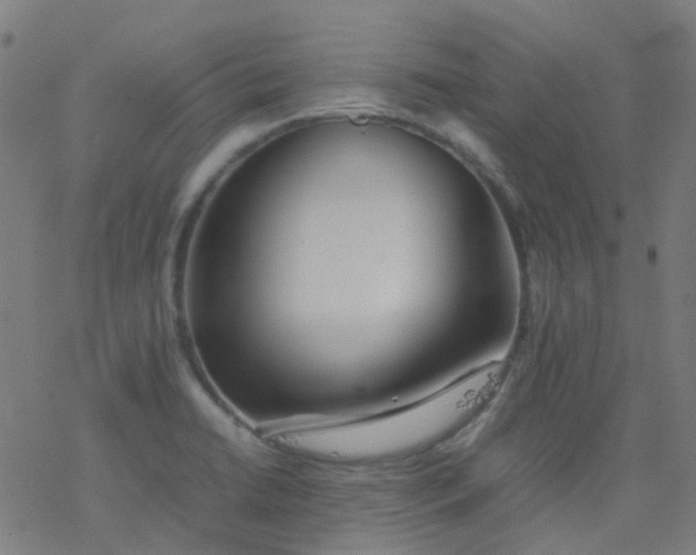 X0000077331422200611101512